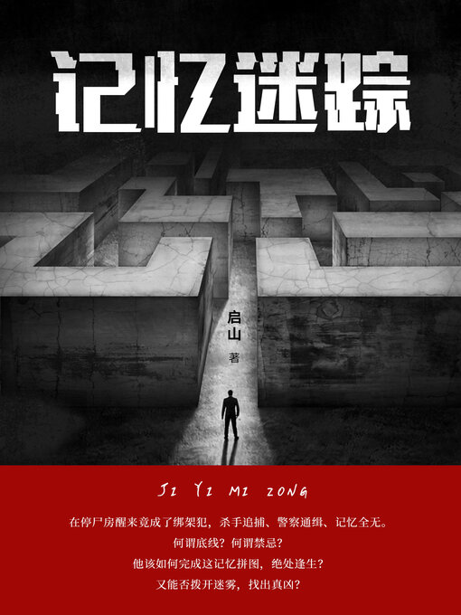 Cover image for 记忆迷踪